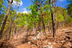 property photo for Stone Creek Phase II Tract 94, 28.26 acres for sale in Latimer County, Oklahoma