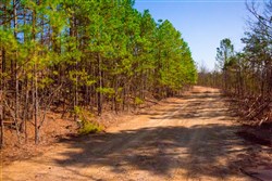property photo for Stone Creek Phase II Tract 96, 45.96 acres for sale in Latimer County, Oklahoma