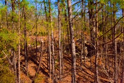 property photo for Stone Creek Phase II Tract 96, 45.96 acres for sale in Latimer County, Oklahoma