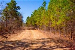 property photo for Stone Creek Phase II Tract 96, 45.96 acres for sale in Latimer County, Oklahoma