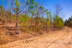 property photo for Stone Creek Phase II Tract 96, 45.96 acres for sale in Latimer County, Oklahoma