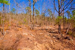 property photo for Stone Creek Phase II Tract 96, 45.96 acres for sale in Latimer County, Oklahoma