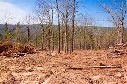 property photo for Stone Creek Phase II Tract 97, 8.19 acres for sale in Latimer County, Oklahoma