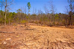 property photo for Stone Creek Phase II Tract 97, 8.19 acres for sale in Latimer County, Oklahoma