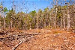 property photo for Stone Creek Phase II Tract 97, 8.19 acres for sale in Latimer County, Oklahoma
