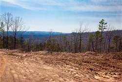 property photo for Stone Creek Phase II Tract 97, 8.19 acres for sale in Latimer County, Oklahoma