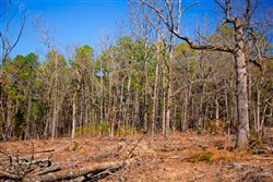 property photo for Stone Creek Phase II Tract 97, 8.19 acres for sale in Latimer County, Oklahoma
