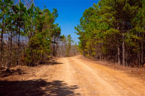 Stone Creek Phase II Tract 98