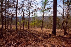 Stone Creek Phase II Tract 98