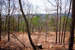 Stone Creek Phase II Tract 98