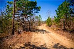 Stone Creek Phase II Tract 98