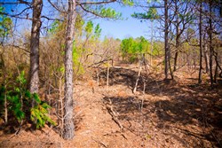 Stone Creek Phase II Tract 98