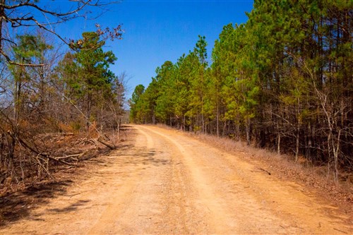 Stone Creek Phase II Tract 99