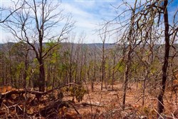 Stone Creek Phase II Tract 99