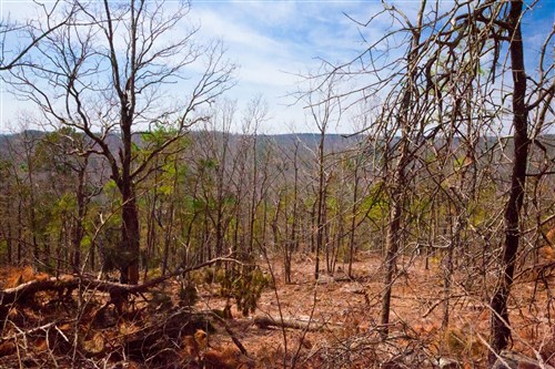 Stone Creek Phase II Tract 99