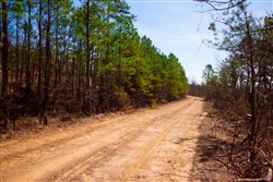 Stone Creek Phase II Tract 99