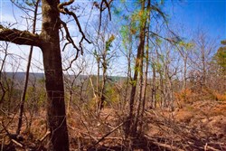 Stone Creek Phase II Tract 99