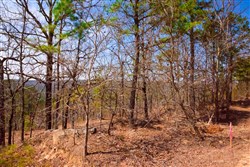 Stone Creek Phase II Tract 99