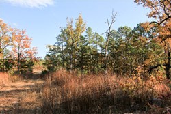 property photo for Stone Creek Phase III Tract 19, 11.36 acres for sale in Latimer County, Oklahoma