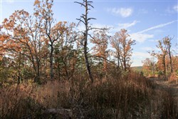 property photo for Stone Creek Phase III Tract 19, 11.36 acres for sale in Latimer County, Oklahoma