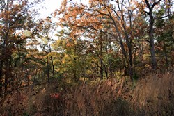 property photo for Stone Creek Phase III Tract 19, 11.36 acres for sale in Latimer County, Oklahoma