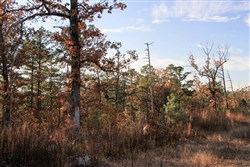 property photo for Stone Creek Phase III Tract 19, 11.36 acres for sale in Latimer County, Oklahoma
