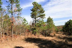 Stone Creek Phase III Tract 2