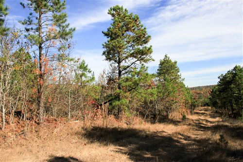 Stone Creek Phase III Tract 2