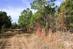 Stone Creek Phase III Tract 2