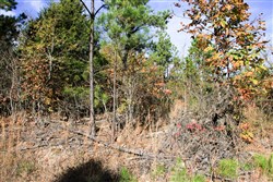 Stone Creek Phase III Tract 2