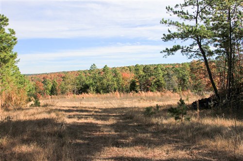 Stone Creek Phase III Tract 31