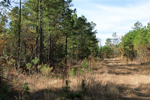 Stone Creek Phase III Tract 31