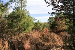 Stone Creek Phase III Tract 31