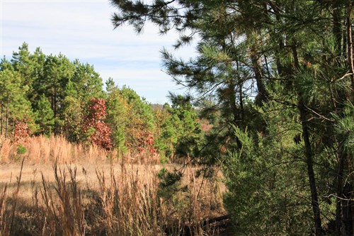 Stone Creek Phase III Tract 32