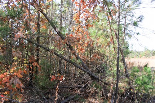 Stone Creek Phase III Tract 32