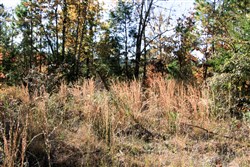 Stone Creek Phase III Tract 32