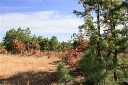 Stone Creek Phase III Tract 35