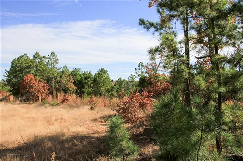 Stone Creek Phase III Tract 35