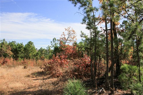 Stone Creek Phase III Tract 35