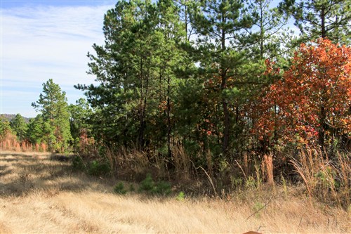Stone Creek Phase III Tract 35