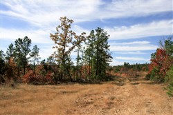 Stone Creek Phase III Tract 35