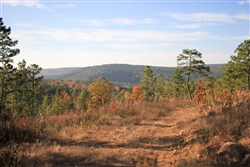 Stone Creek Phase III Tract 39