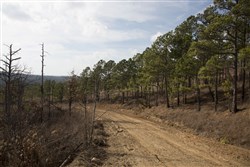 Stone Creek Phase III Tract 73a
