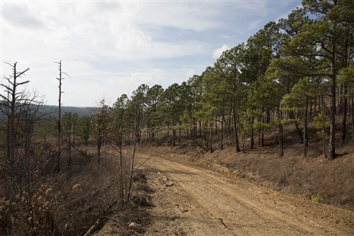 Stone Creek Phase III Tract 73a