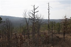 Stone Creek Phase III Tract 73a