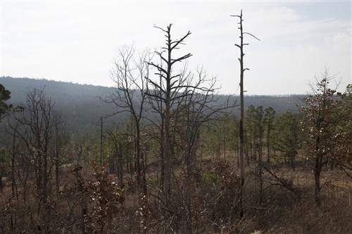 Stone Creek Phase III Tract 73a