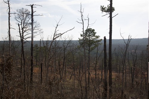 Stone Creek Phase III Tract 73a