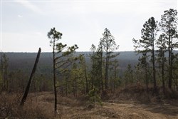 Stone Creek Phase III Tract 73a