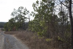 property photo for Stone Creek Phase III Tract 87, 12.07 acres for sale in Latimer County, Oklahoma