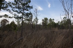 property photo for Stone Creek Phase III Tract 87, 12.07 acres for sale in Latimer County, Oklahoma